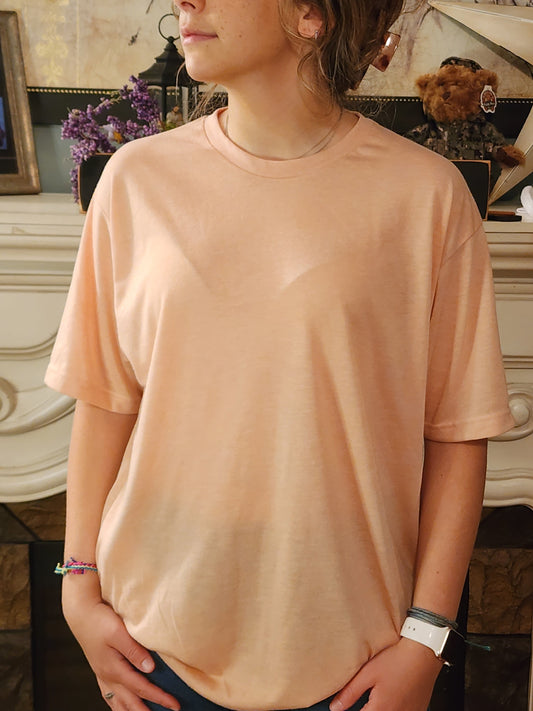 Ducks In A Row - I Have Chickens - Sublimation Shirt